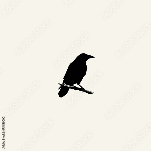 Black crow silhouette perched on branch symbolizing mystery gothic halloween and dark omen theme