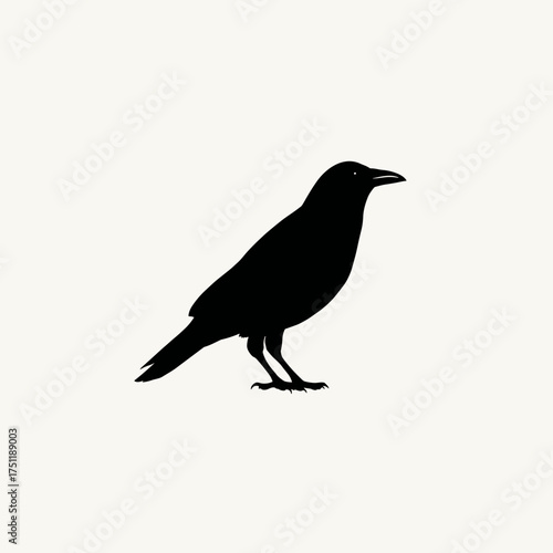 Minimal black crow silhouette on light background symbolizing gothic halloween mystery and spooky omen