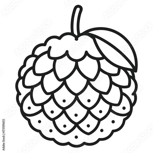 Lichi fruit outline vector icon