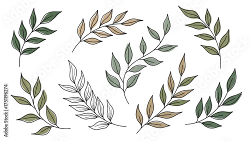 Elegant Leafy Branches Collection A Set of Botanical Elements for Design