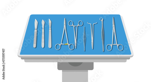 Collection of Surgical Instruments on a Blue Tray.