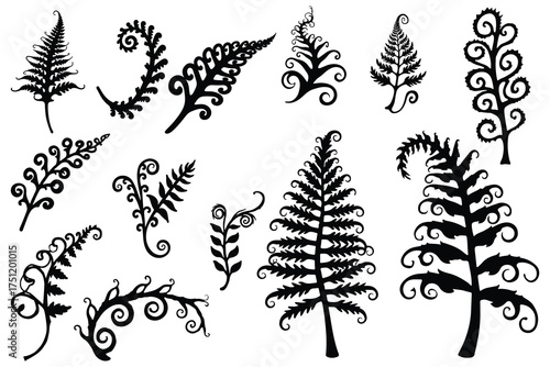Black fern frond and vine silhouettes with curls swirl