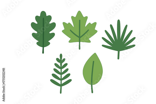 Diverse collection of green foliage elements including oak, maple, and tropical plant shapes