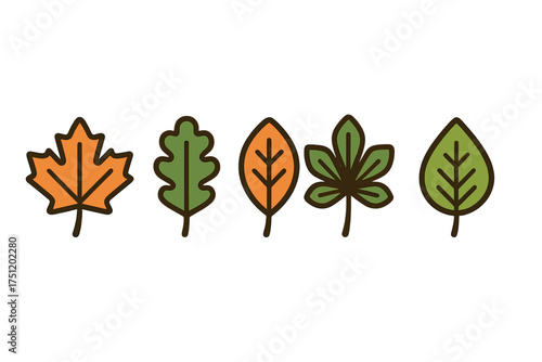 Set of five stylized autumn and summer tree leaves in simple graphic design