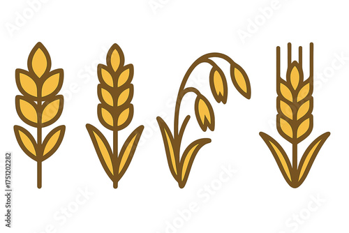 Stylized cereal grain crops set including wheat, barley, and oat symbols for food design