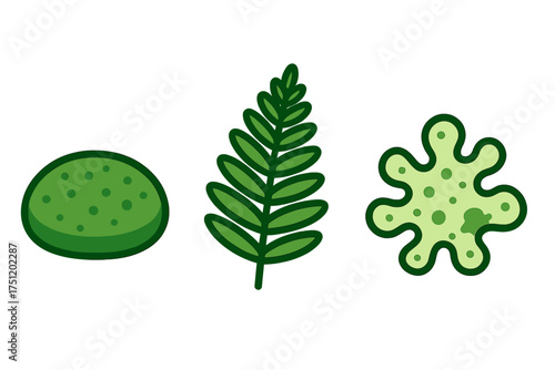 Stylized green biological elements set: moss clump, fern frond, and single-celled organism icon