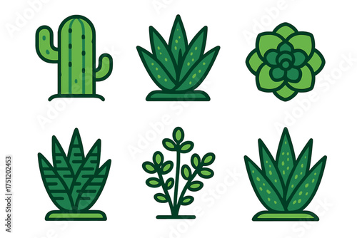 Collection of various green succulent plants and desert cacti icons on white background