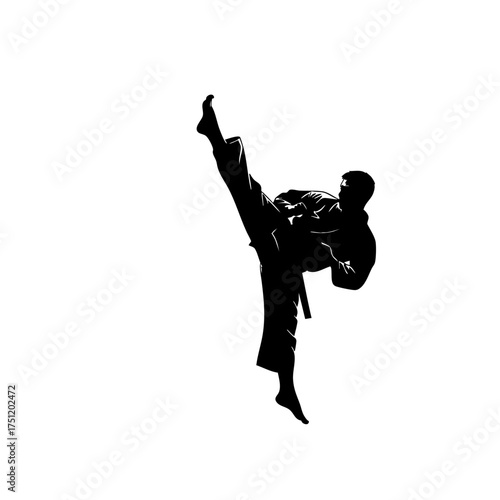 Silhouette of a martial artist executing a high kick with focused intensity