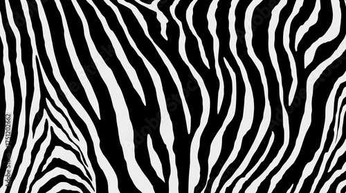 Abstract black and white zebra stripe pattern creating a bold visual effect.