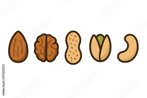 Set of popular edible nuts including almond, walnut, peanut, pistachio, and cashew