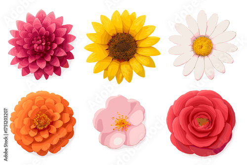 Six vibrant colorful blooming flowers collection including sunflower daisy and rose isolated on white