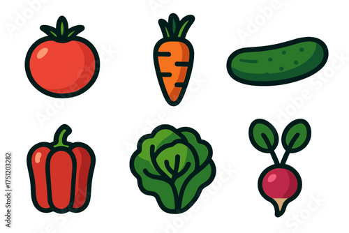 Fresh organic vegetables collection: tomato, carrot, cucumber, bell pepper, lettuce, and radish