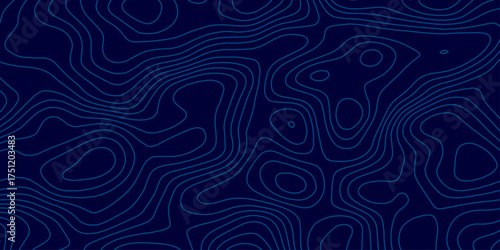 The stylized blue abstract topographic map with lines and circles background. Abstract topographic contours map background. Topographic map patterns, topography line map.