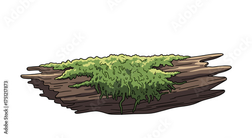 Close-up of moss growing on submerged decaying wood in natural style  