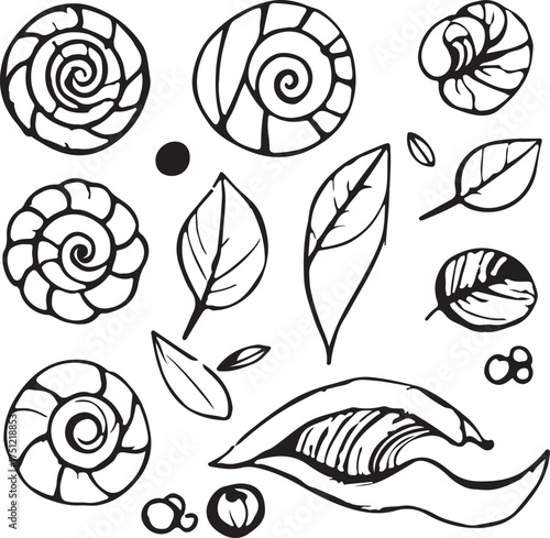 A beautiful seamless floral vector pattern with a vintage cartoon snail design and a rose flower element
