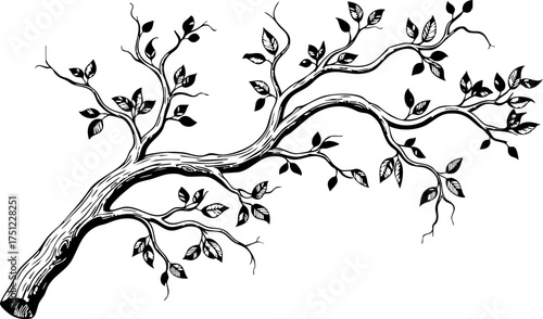 Elegant tree branch illustration with leaves for natural designs, botanical themes, and nature inspired projects, originally a scalable vector graphic