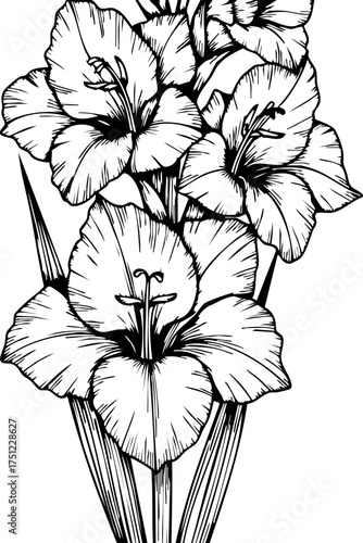 Εκτύπωση καμβά Elegant gladiolus floral arrangement sketch for timeless design projects, evoking natural beauty and classic artistry