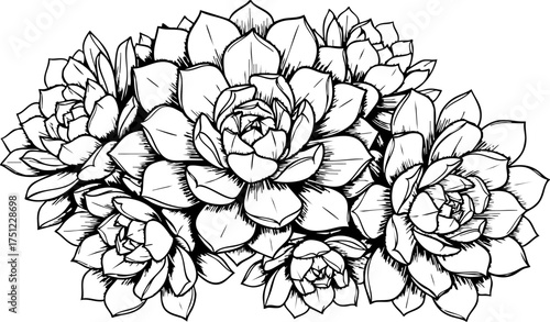Exquisite hand drawn succulent cluster art, perfect for botanical illustrations, home decor, and natural lifestyle designs