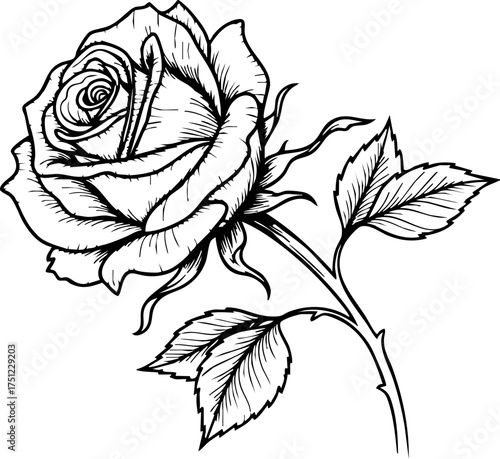 Stunning black and white rose illustration, perfect for elegant designs, romantic cards, or artistic projects needing a touch of classic beauty.