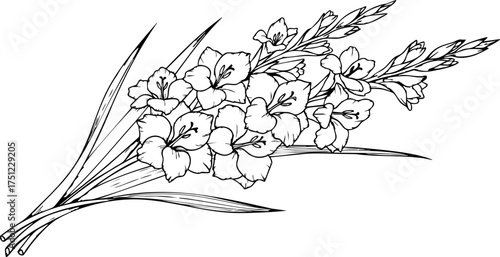 Elegant gladiolus bouquet with delicate floral details, perfect for design projects, wedding invitations, and adding natural beauty.