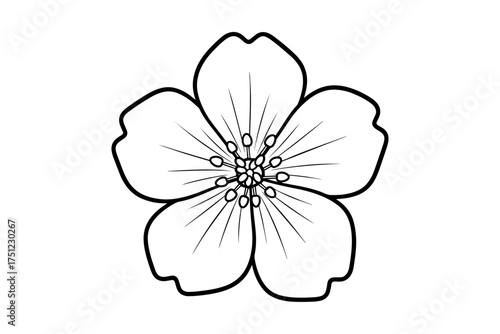 black and white flower,
Line Drawing of a Flower Blossom,
Black and White Botanical Illustration of Elegance and Simplicity