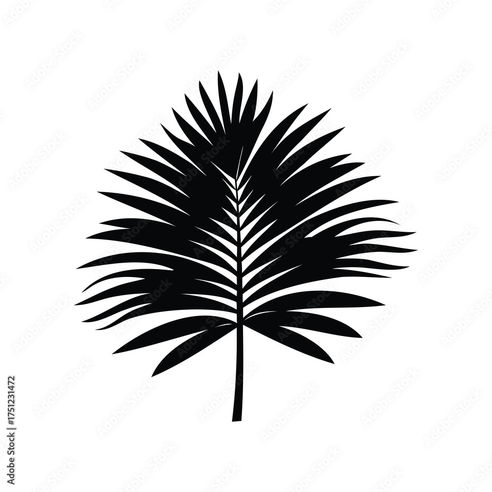 Fototapeta premium Elegant silhouette of a single palm leaf against a stark white background, palm frond silhouette vector illustration