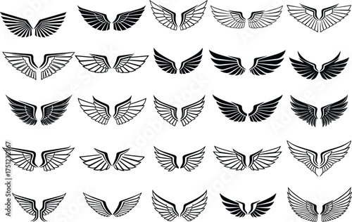 Wing Logo and Icon Vector Collection