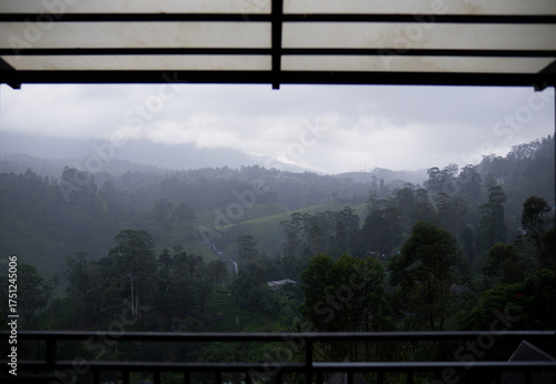 Misty hills and lush green forest landscape in Talawakelle, Sri Lanka.