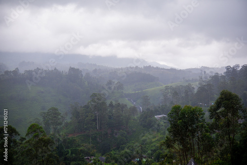 Misty hills and lush green forest landscape in Talawakelle, Sri Lanka.