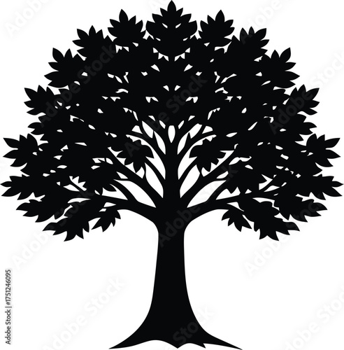 Silhouette of a robust sycamore tree vector illustration
