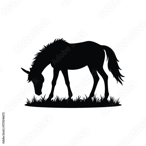 Silhouette of a unicorn eating grass, a magical scene in monochrome, unicorn grazing in field silhouette vector illustration