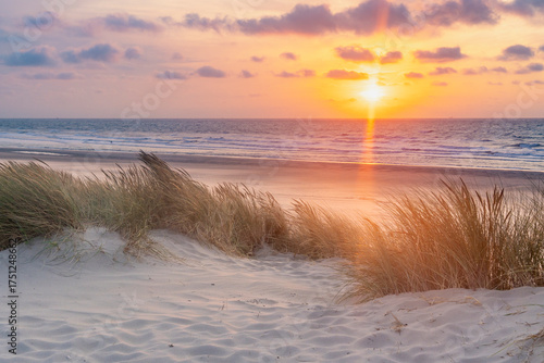 stormy North Sea beach with reed grass bushes at sunset, orange-red sky over the dark blue ocean, panorama with sandy beach and blowing grass in the wind, storm at sunset over wavy water, clouds