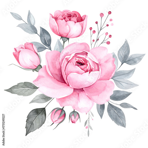 Watercolor illustration of pink roses with gray leaves and berries, against a transparent background