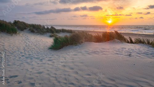 Fototapeta Naklejka Na Ścianę i Meble -  stormy North Sea beach with reed grass bushes at sunset, orange-red sky over the dark blue ocean, panorama with sandy beach and blowing grass in the wind, storm at sunset over wavy water, clouds