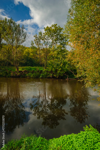 Close-up of a peaceful river bank during early autumn season featuring vibrant green grass in the foreground and tall willow trees with golden leaves reflecting in the still water surface.