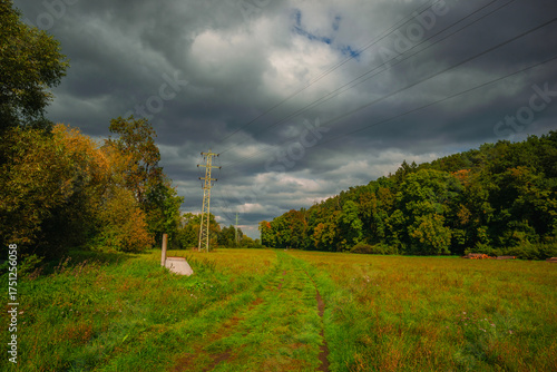 Rural landscape with a dirt path road leading through a green grassy field towards a forest under a stormy sky with high voltage power lines and utility poles stretching into the distance.