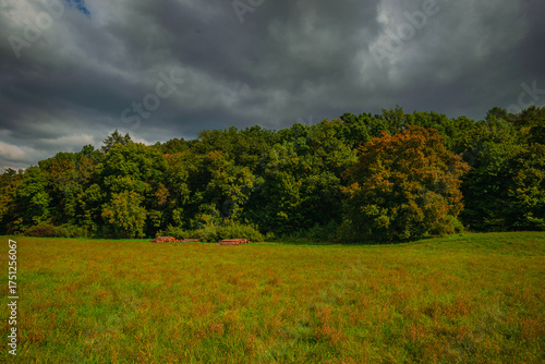 A wide green field in the early autumn season with stacks of harvested wood logs lying near the edge of a thick deciduous forest under a dark and moody overcast sky with heavy grey clouds.