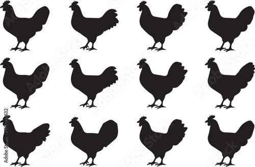 Simple chicken Illustrator Artwork