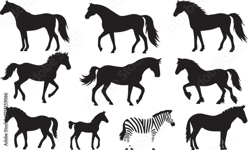 Set of silhouette of horses with Zebra Illustrator Artwork black and white vector.