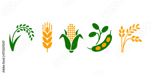 Diverse Crop Icons Representing Agricultural Production and Food Security Rice Wheat Corn Soy and Other Grains Symbols