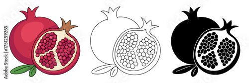 Pomegranate Fruit Collection Three Styles Vector Illustration Fresh Healthy Food Concept Delicious Red Fruit Full of Antioxidants Vegetarian Vegan Diet