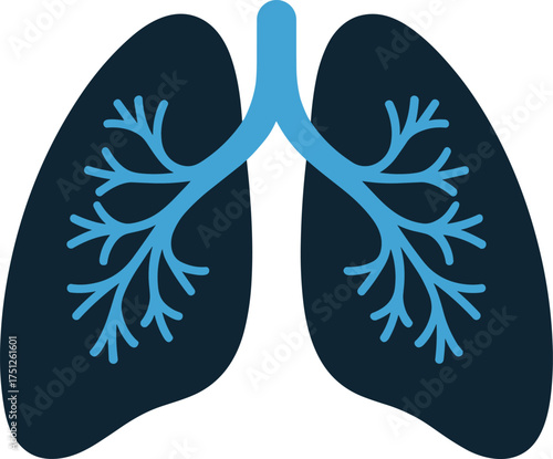 Medical illustration of lungs showing bronchial system in blue and dark teal colors.