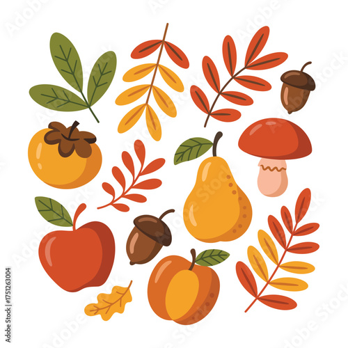 Autumn harvest of fruits vegetables and leaves illustration