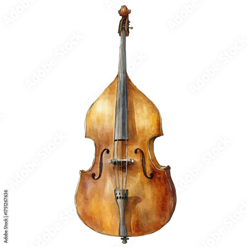 Double Bass, watercolor painting vector, isolated on a white background.