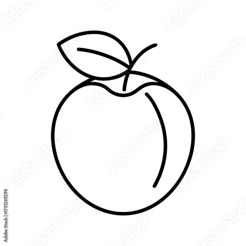 Apricot Fruit Outline Line Art Vector