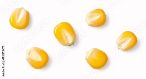 Top view of raw corn kernels for making popcorn, macro photo isolated on a white background.