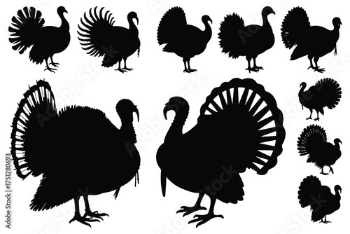 Black turkey silhouettes on white background bird fowl