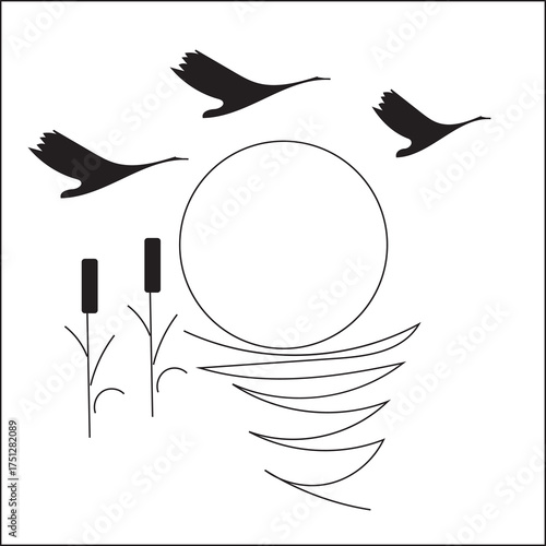 flying birds and sunset line art