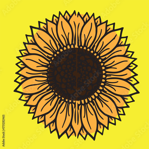 sunflower vector illustration