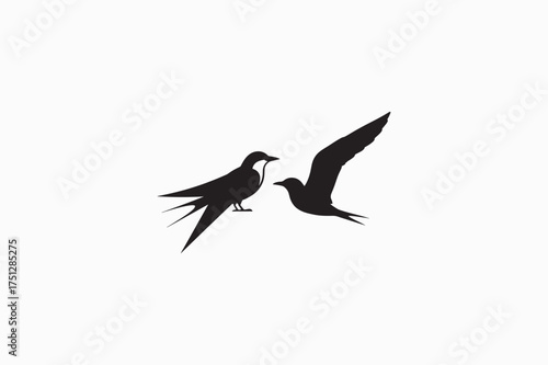 Coastal Tern bird vector silhouettes black image. .eps